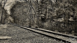 Timeline: Progressive Era: Transcontinental Railroad and its impact on the growth of the west