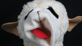 Timeline: WWII timeline