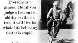 Timeline: Foundations Timeline- Education Legislation