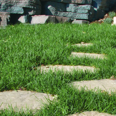 Timeline: Stepping Stones to the Civil War