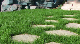 Timeline: Stepping Stones to the Civil War