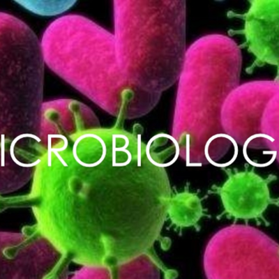 Timeline: HISTORIA DE LA MICROBIOLOGIA