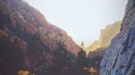 Timeline: CAP Government Timeline