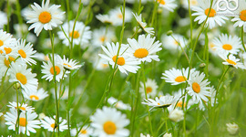 Timeline: Unit 2 Timeline