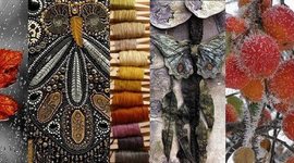 Timeline: Minu nädal