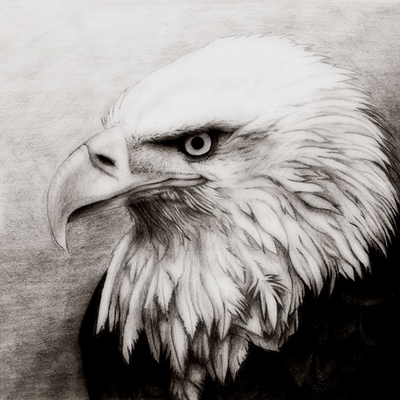 Timeline: A History of the U.S. 1B Timeline