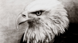 Timeline: A History of the U.S. 1B Timeline