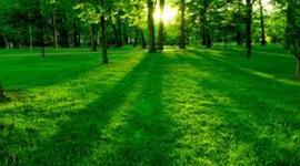 Timeline: EVENTOS IMPORTANTES EN BIOLOGIA