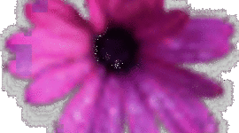 Timeline: History of Management