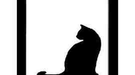 Timeline: The Black Cat