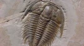 Timeline: Edenstrom's Geologic Timeline