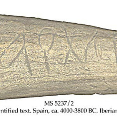 Timeline: HISTORY  FILE