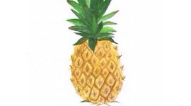 Timeline: The Korean War