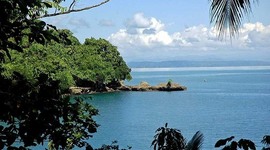 Timeline: Н.Н. Миклухо-Маклай