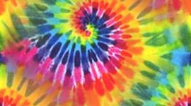 Timeline: Natalie Medina