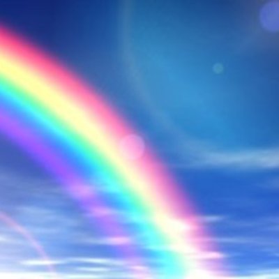 Timeline: AAWL & SPCA