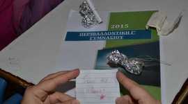 Timeline: Περιβαλλοντική εκπαίδευση - Γυμνάσιο Μεγαλόπολης 2015