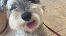 Timeline: La Vida De Heinz