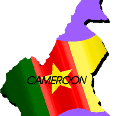 Timeline: Cameroon Project