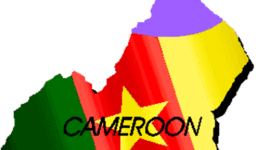 Timeline: Cameroon Project
