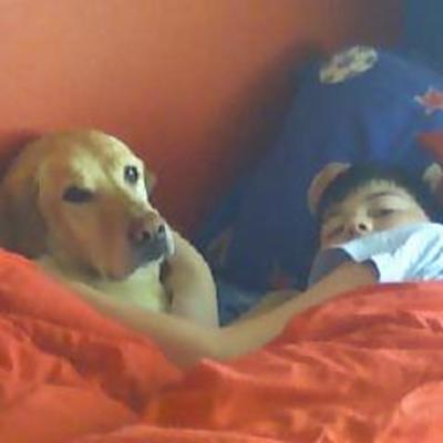 Timeline: Mi Historia