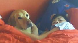 Timeline: Mi Historia