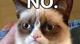 Timeline: A veinte anos, Luz