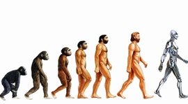 Timeline: Evolution of the Theory of Evolution