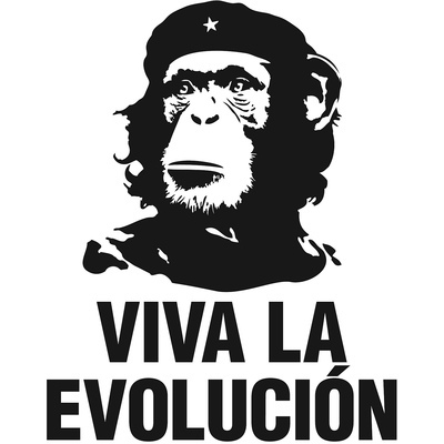 Timeline: Evolution of The Theory of Evolution