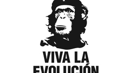 Timeline: Evolution of The Theory of Evolution