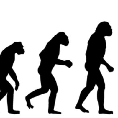 Timeline: The Evolution of Evolution