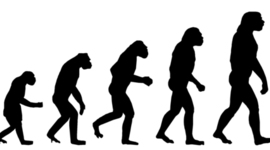 Timeline: The Evolution of Evolution