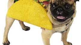 Timeline: Chapter 17 and 18 APUSH Review