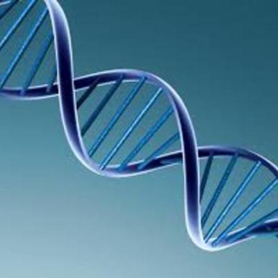 Timeline: Principales descubrimientos del ADN