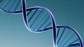 Timeline: Principales descubrimientos del ADN