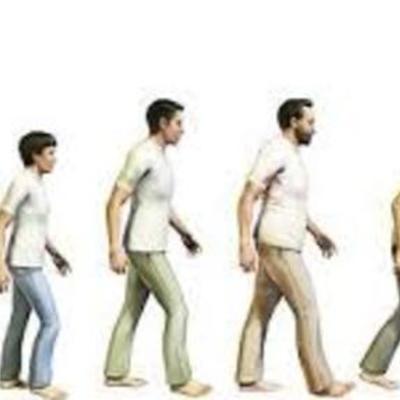 Timeline: The Seven Ages of Man by Jonathan Abbott