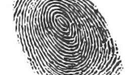 Timeline: Técnico Seguridad Ocupacional