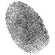 12221393 fingerprint