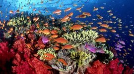 Timeline: Historia de la Biologia