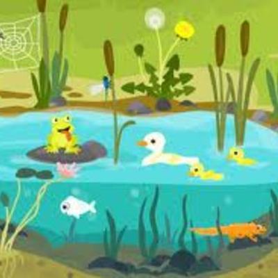 Timeline: Acontecimientos mas importantes en la Historia de la biologia