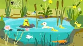 Timeline: Acontecimientos mas importantes en la Historia de la biologia