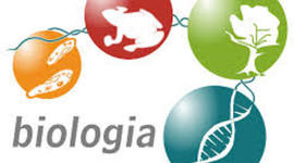 Timeline: La Biología a través de la Historia