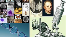 Timeline: Acontecimientos La Biologia a través del tiempo