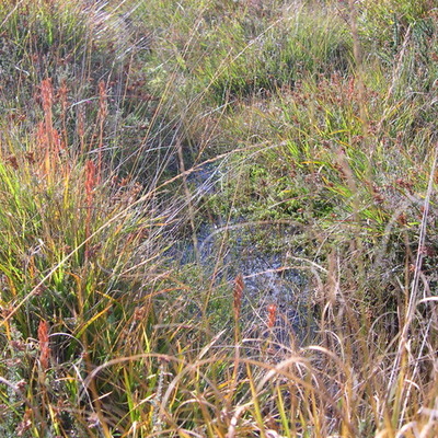 Timeline: Démarche N2000 sur Langazel