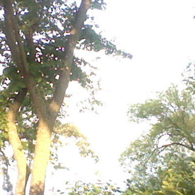 Timeline: My Trip the Minnesota Detroit Lakes