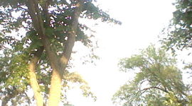 Timeline: My Trip the Minnesota Detroit Lakes