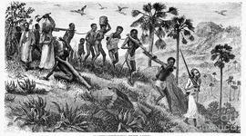 Timeline: Social Change during the Atlantic Slave Trade