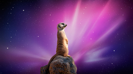 Timeline: Spanish American War APUSH