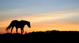 Timeline: Spanish American War