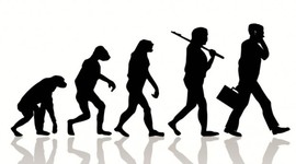 Timeline: Biological Contributions